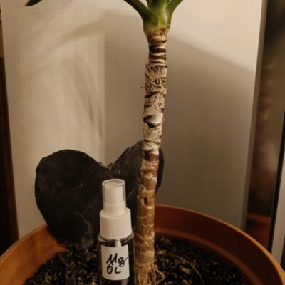 Hochwertiges Magnesium Öl Sprüher