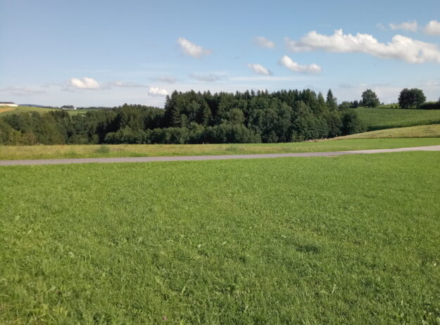 Provisionsfrei - Baugrund im Mischbaugebiet ohne Bauzwang - Wohn- und Arbeitsmöglichkeit kombiniert (neuer Preis)