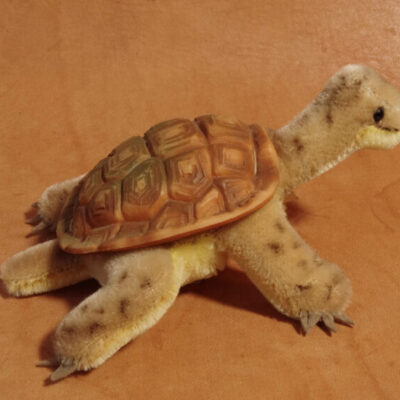 STEIFF turtle "Slo" (Germany 1955-1967), Schildkröte, Tortue, Vintage